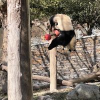 評論圖片 9