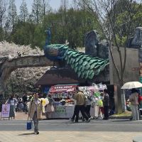 評論圖片 5