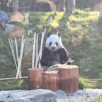 評論圖片 3