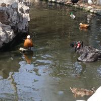 評論圖片 1