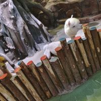 評論圖片 8