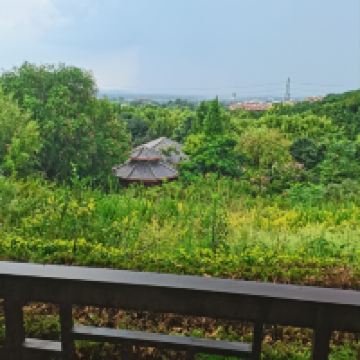 評論圖片 4