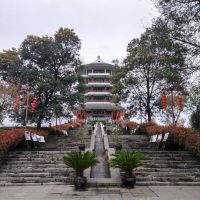 評論圖片 1