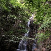 評論圖片 4