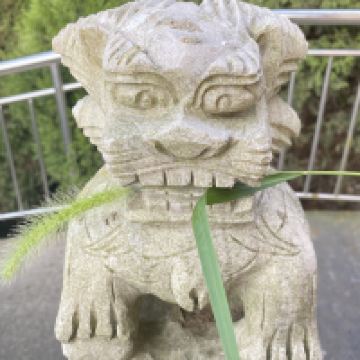 評論圖片 9