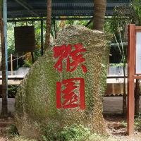 評論圖片 2