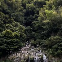 評論圖片 9