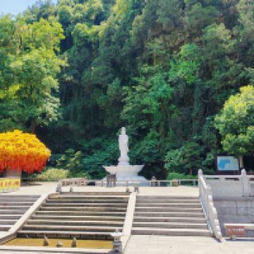 評論圖片 1