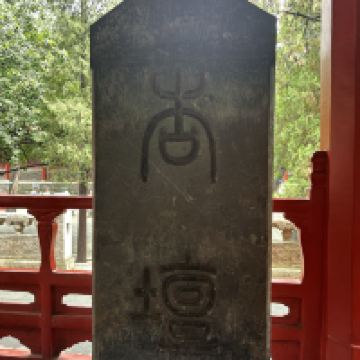評論圖片 2