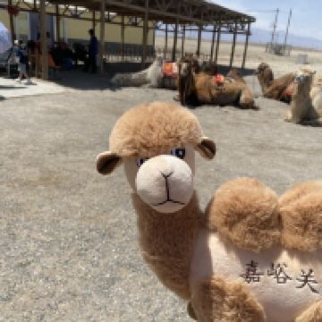 評論圖片 7
