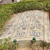 評論圖片 6
