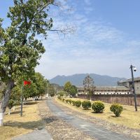 評論圖片 4