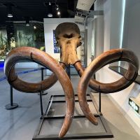 評論圖片 1