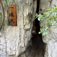 評論圖片 7