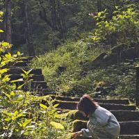 評論圖片 1