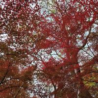 評論圖片 9