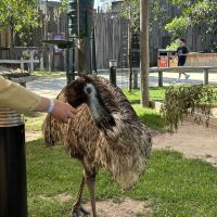 評論圖片 2