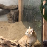 評論圖片 4