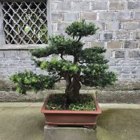 評論圖片 6