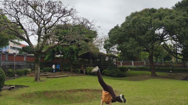 review picture