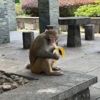 評論圖片 3