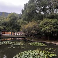 評論圖片 7