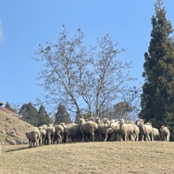 評論圖片 1