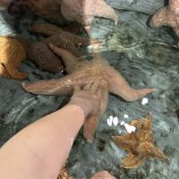 評論圖片 2
