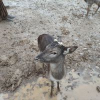 評論圖片 9