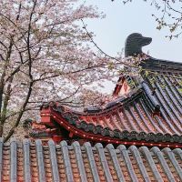評論圖片 3