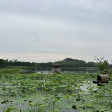 評論圖片 2