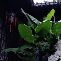 評論圖片 1