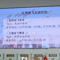 評論圖片 2