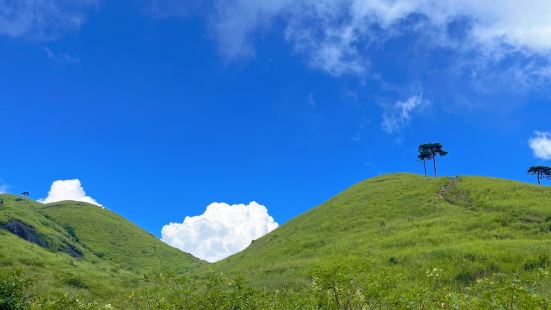 高山草甸很好看～山頂很多帳篷露營，也有客棧住宿，條件就是非常