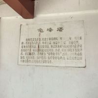 評論圖片 7