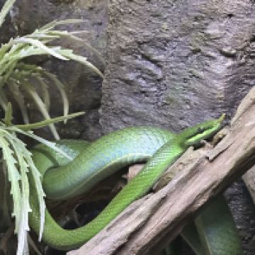 評論圖片 7