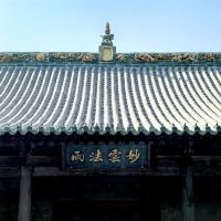 評論圖片 4
