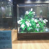 評論圖片 4