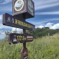 評論圖片 9