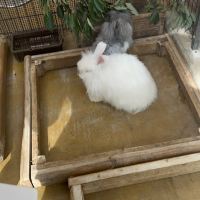 評論圖片 5