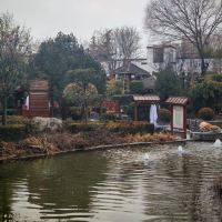 評論圖片 1