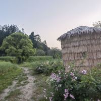 評論圖片 4
