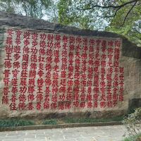 評論圖片 4