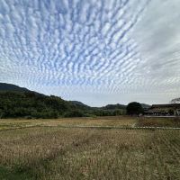 評論圖片 2
