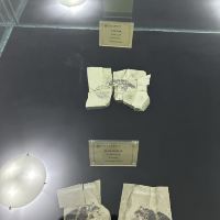 評論圖片 2
