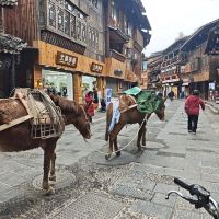 評論圖片 7