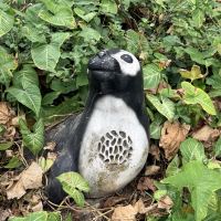 評論圖片 3