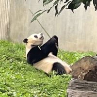 評論圖片 2