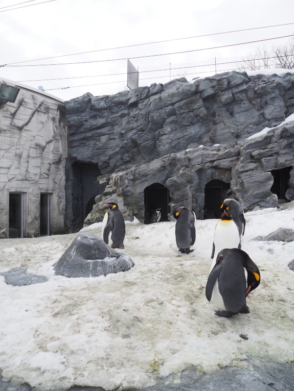 Asahiyama Zoo Tickets [2026] - Promos, Prices, Reviews & Opening