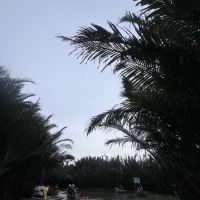 評論圖片 7